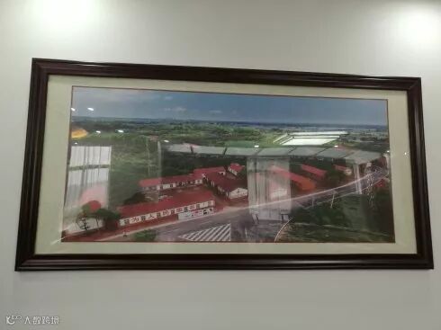 【红色印记】云梦泽编委走进湖北咸宁向阳湖文化名人旧址