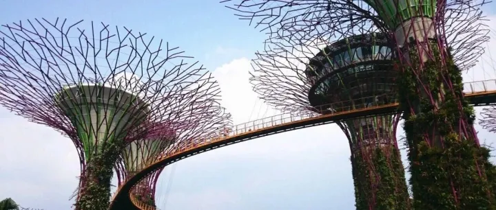 揭秘：新加坡公司信息查册清单一览