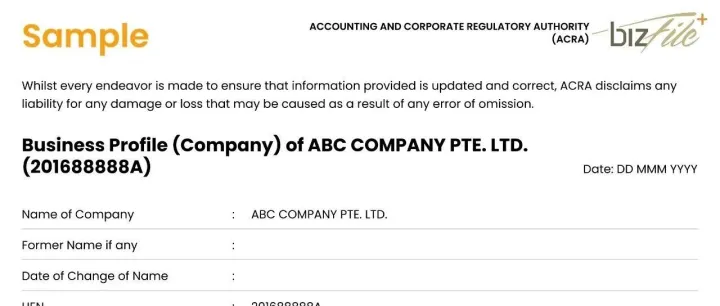 新加坡公司档案Business Profile包含什么信息？