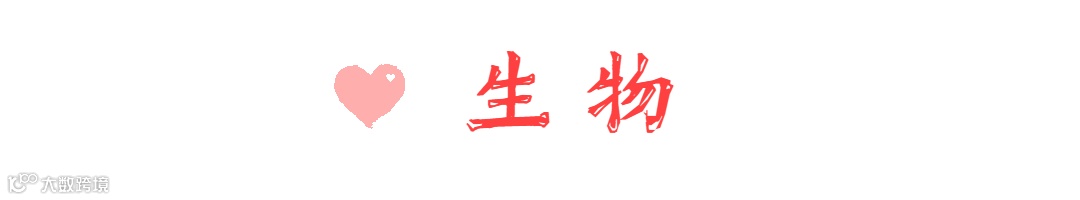 520情人节浪漫大字动态分割线 (8).gif