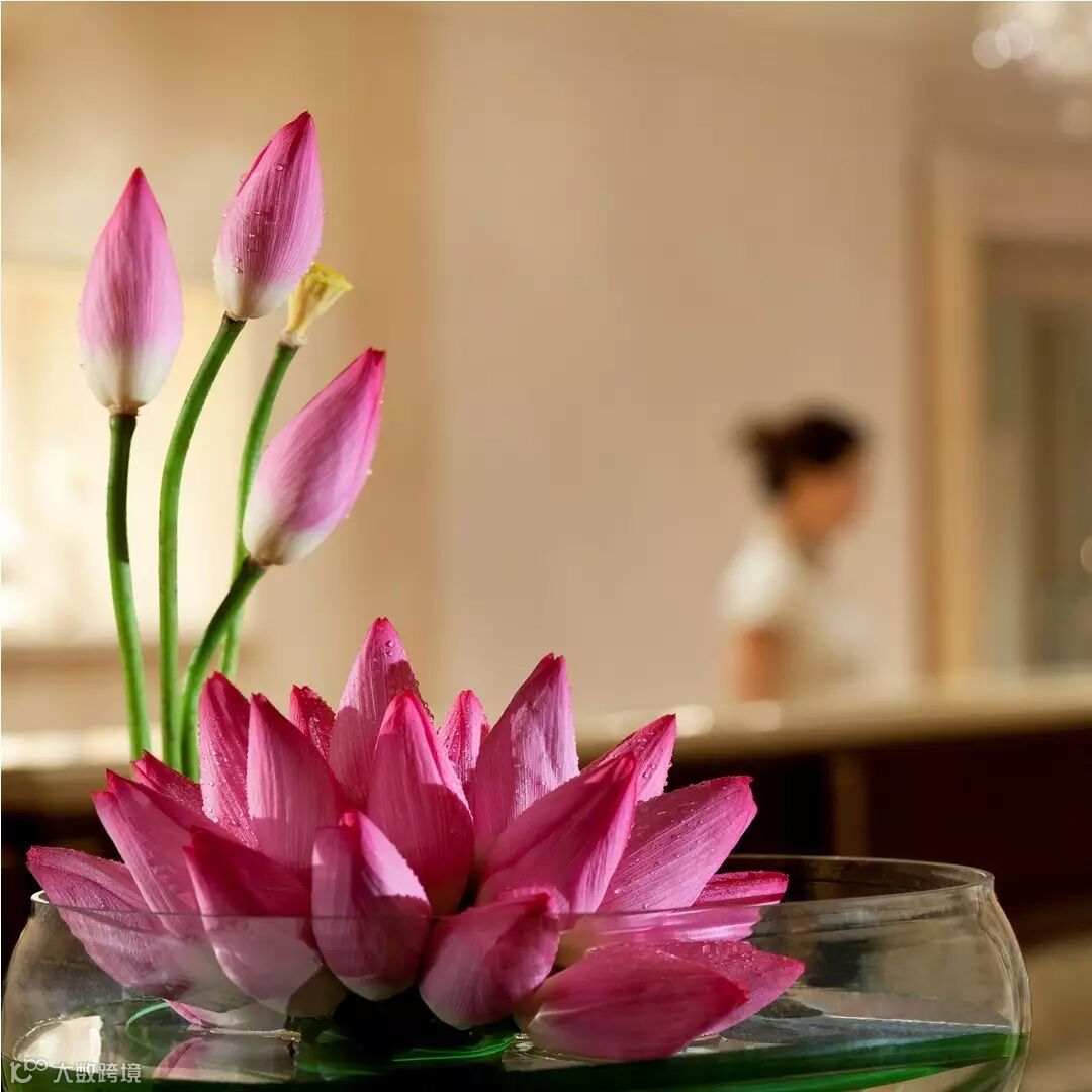 Spa lotus_small_副本.jpg