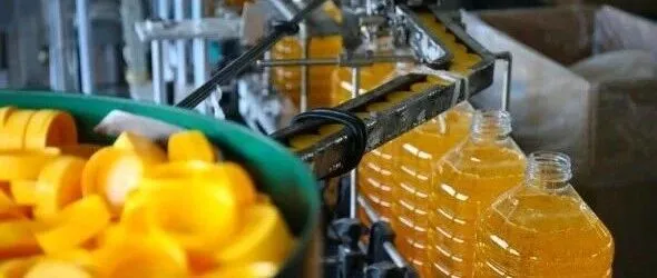 2025年俄罗斯滨海边疆区工业生产总值增长8.6%