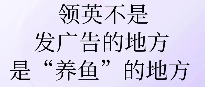 领英不是发广告的地方，是“养鱼”的地方