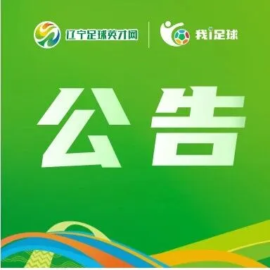 大连涵瑀放弃2026赛季中冠联赛与足协杯参赛资格