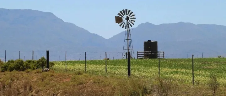 从非洲进口<em>趋势</em>概览 | 进口<em>趋势</em>