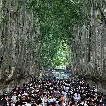 热议 | “今年所有法定假日<em>与</em>周末<em>重合</em>”！