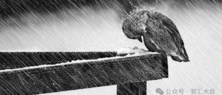 2026年2月外汇局公示处罚信息分析