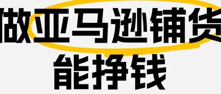 为什么别人做亚马逊铺货能挣钱，你却不行？