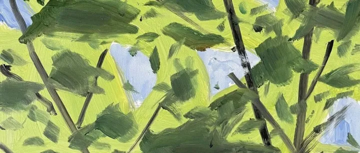 新展官宣｜亚历克斯·卡茨个展：群树之相