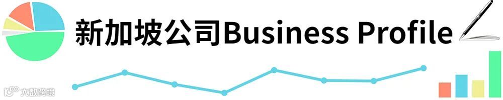 插图新加坡公司Business Profile.jpg