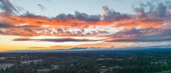 规范驱动开发落地经验谈：为什么 AI 编程的关键不在模型，而在协作方式