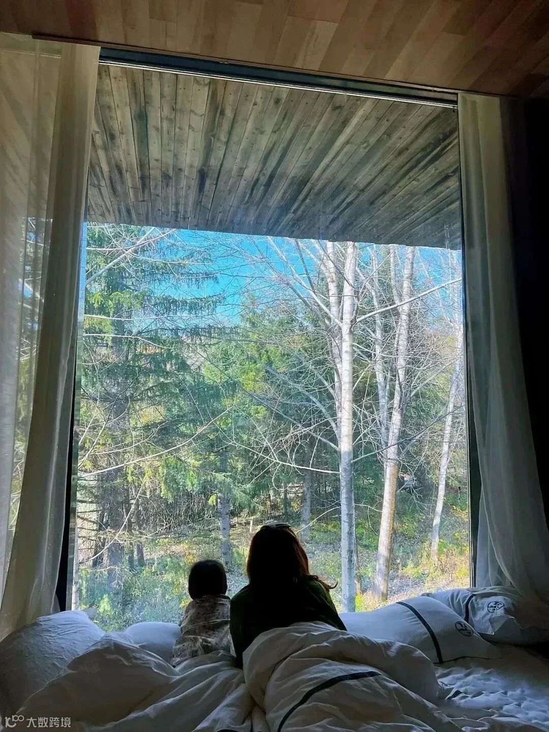 △小红书@甜豆妈妈 (4).JPG