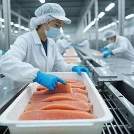 2026.3.3三文鱼批发行情北京上海广州报价