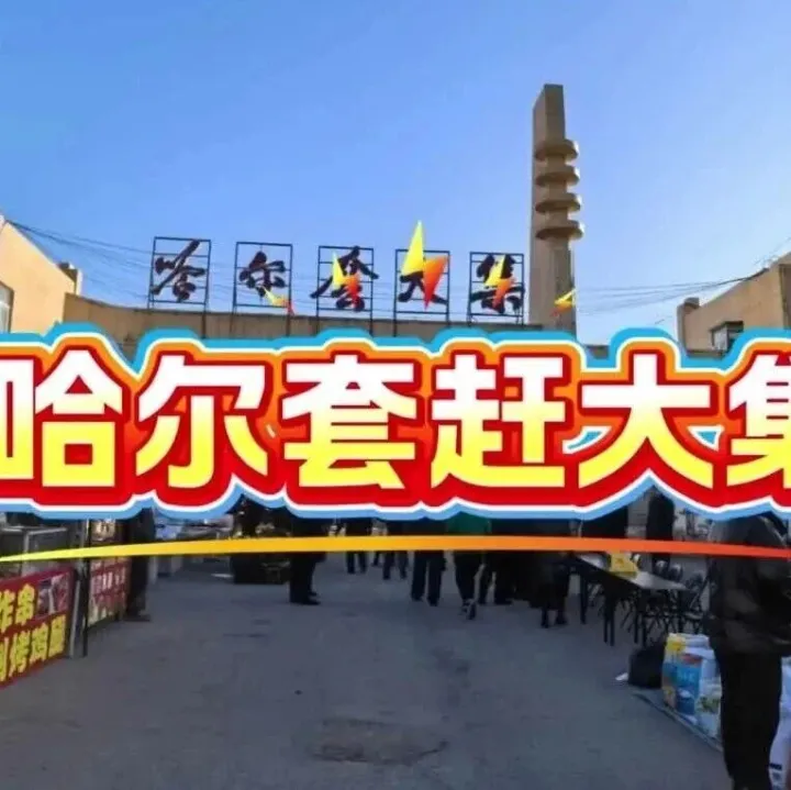 赶哈尔套大集，游辽代古塔，打卡张三丰故居