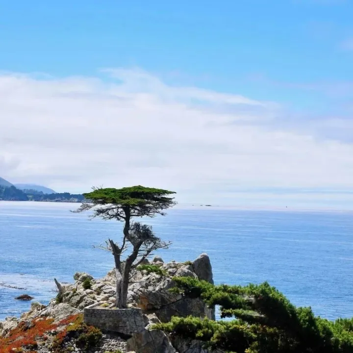 国际业务春季招聘会 | 俄罗斯市场