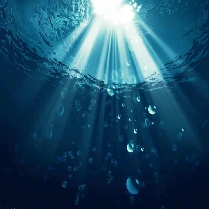 秦东魁每日一语| 中、英、韩、俄、日、泰语学习