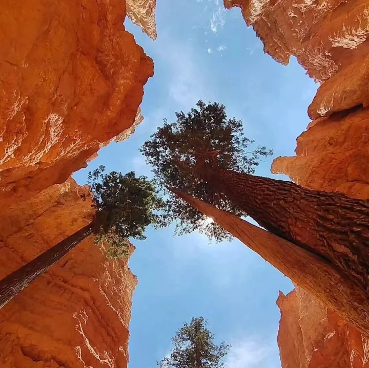 跨境金融春季招聘会已经开始啦 | 对俄！