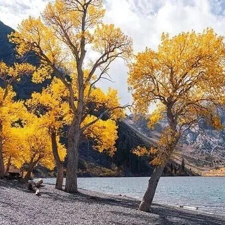 连载 | 想人好处可以同时触发共振和反作用力法则
