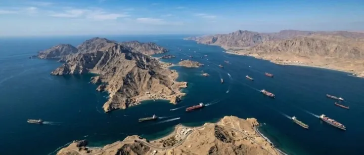 史诗级黑天鹅！霍尔木兹海峡封锁，全球供应链拉响警报 ！对中国企业有哪些影响？