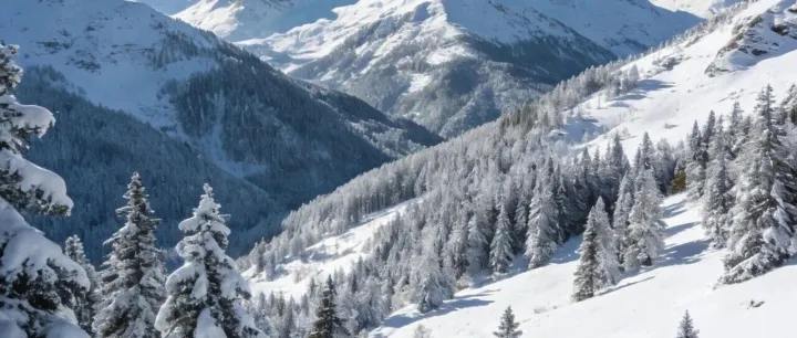 五篇满分作文：《那个背影》《十五岁的相机》《如果时光有颜色》《在丢失的那天》《翻过那座山》