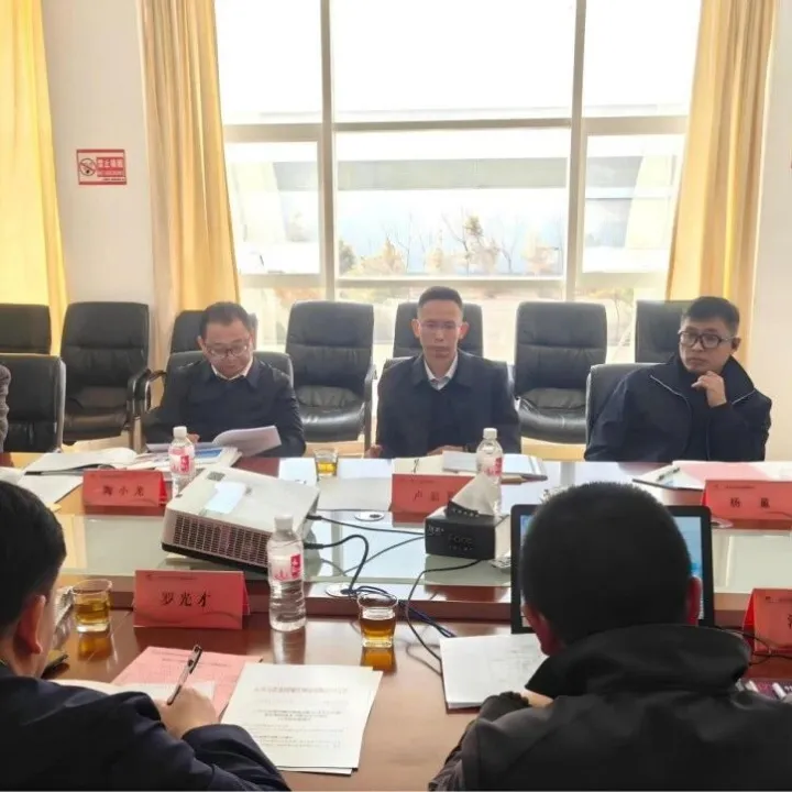 集团外部董事专题调研跨境冷链物流项目 精准把脉赋能高质量发展