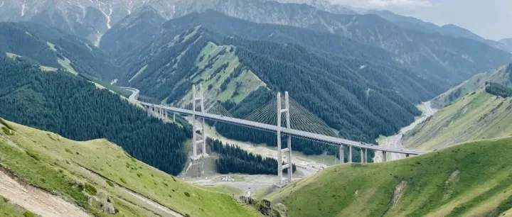 人民日报丨<em>三棵</em><em>树</em>以创新助推工业涂料国产化