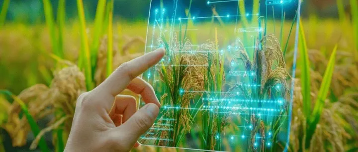 “十五五”专题研究｜农业新质生产力如何重塑乡村振兴新格局？