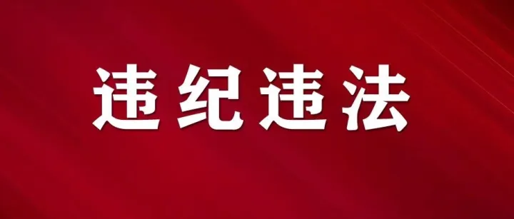 六安最新通报！王配俊涉嫌严重违纪违法被查！