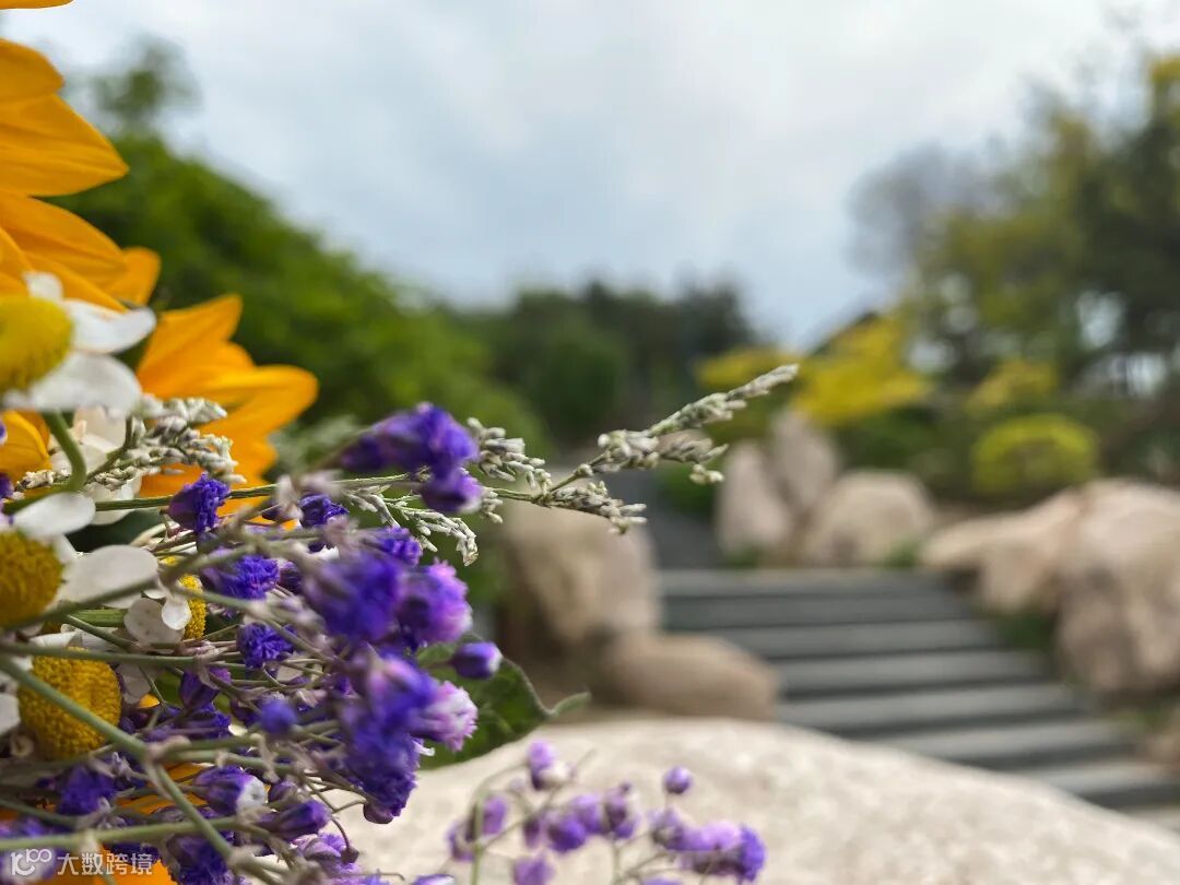 焦化作业部 .范晋搏.旅行日记.17692592706.JPG