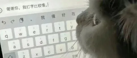 男子因沉迷和 <em>AI 聊天</em>就医？医生提醒......