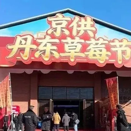 市供销总社丨携手辽宁省<em>丹东</em>！2026京供<em>丹东</em>草莓节启幕