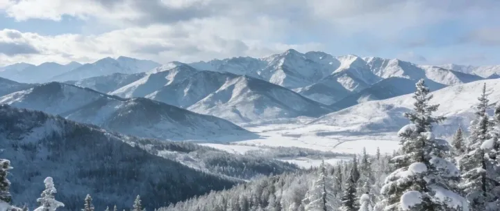 五篇满分作文：《藏在心底的话》《生活需要仪式感》《为梦想而努力》《感谢那个为我提灯的人》《与挫折同行》