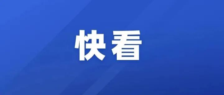 快看！楠木山檢查站查獲3塊黃色金屬，正在尋主！