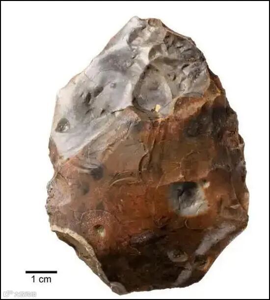 人类最早何时有意识生火？国际最新考古发现40万年前证据