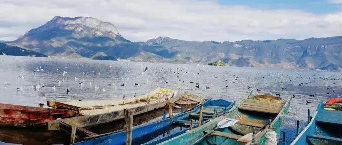 【赵韵珠】歌咏格姆山 情醉泸沽湖