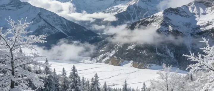 五篇满分作文：《事与愿违，坚守亦生辉》《黑板上的记忆》《我眼中的色彩》《记住这一天》《转角处的发现》