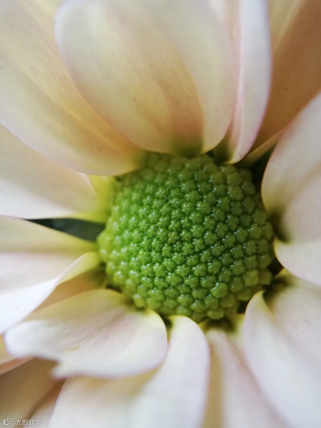 车队司机 杨远 蓄势待发 15832556112.jpg