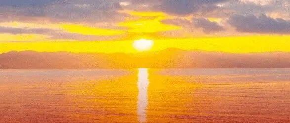 开工寄语！动起来，忙起来，干起来