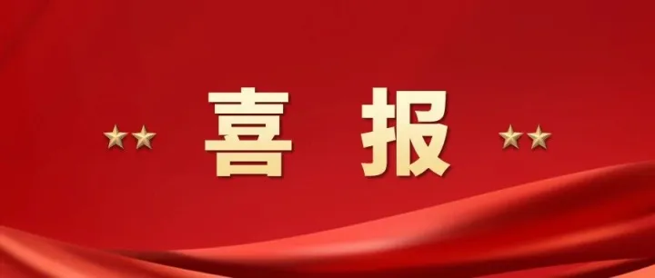 喜报！支点公司在2025静安“大宁功能区”第二届企业高管羽毛球赛荣获团体季军！
