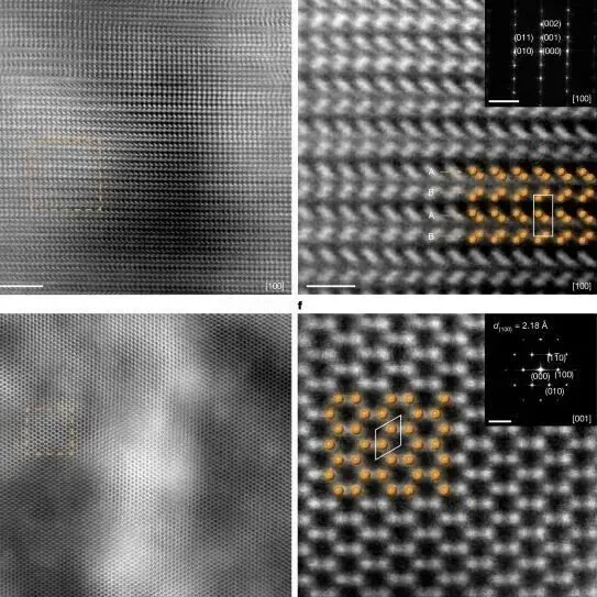 郑州大学Nature，标题仅三个词！