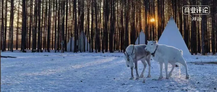 去<em>大興安嶺</em>尋鹿，京東重構(gòu)新品營銷范式