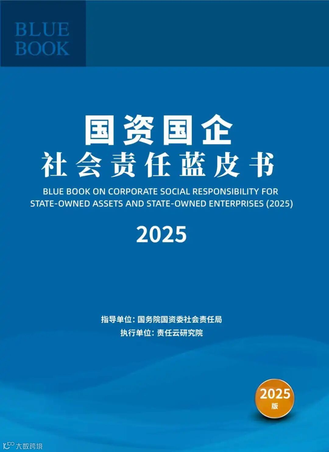 国资国企蓝皮书.jpg