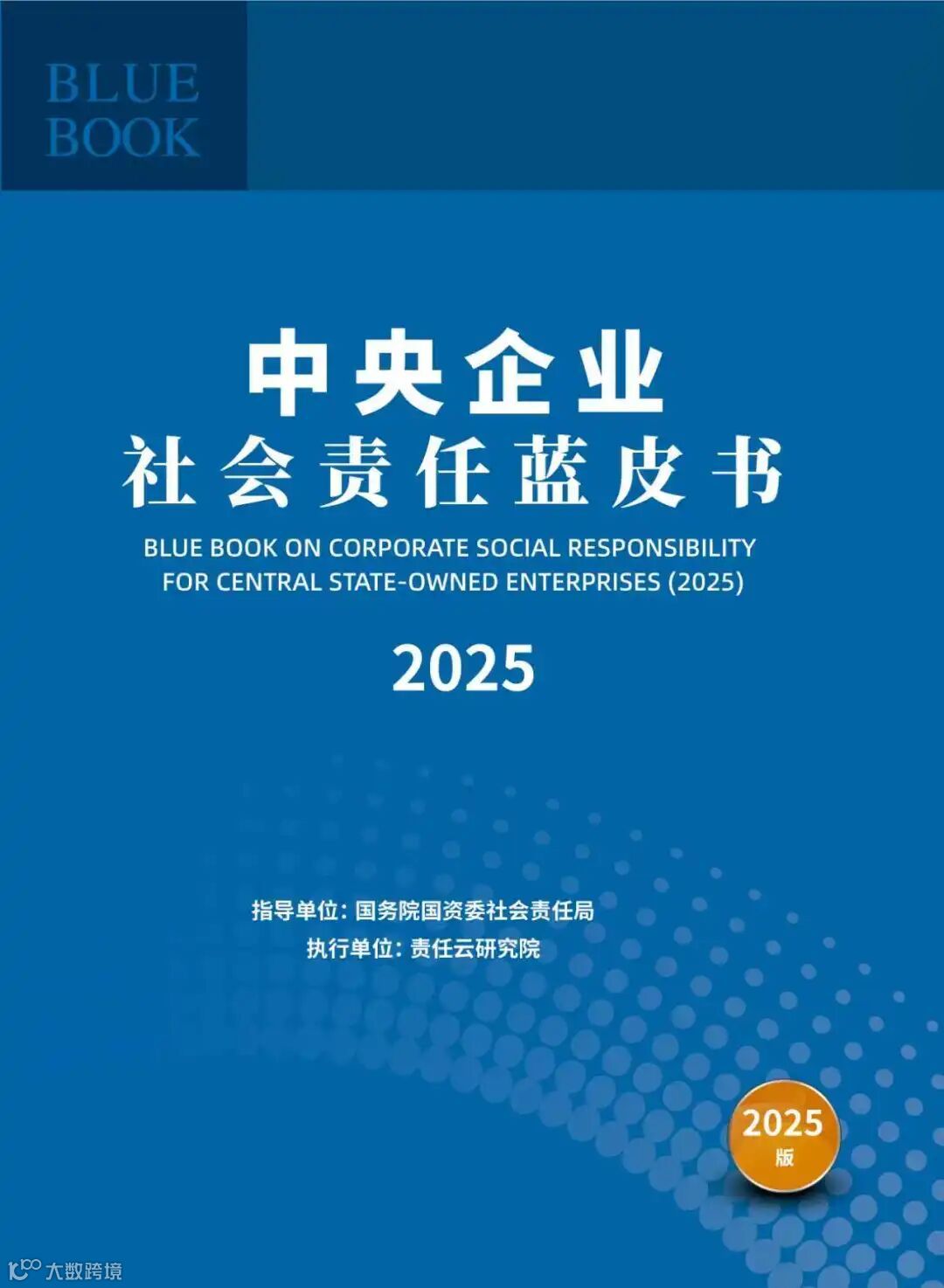 央企蓝皮书.jpg