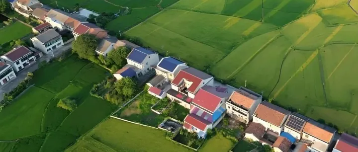 乱占耕地整治告别“手填噩梦”！自动化填报让效率狂飙