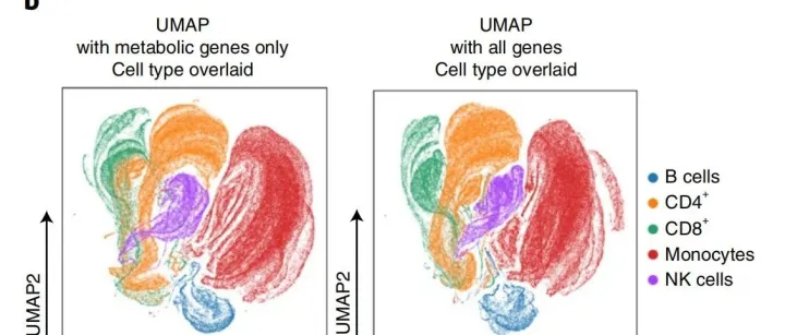 如何获取KEGG数据库中与代谢相关的全部基因呢？