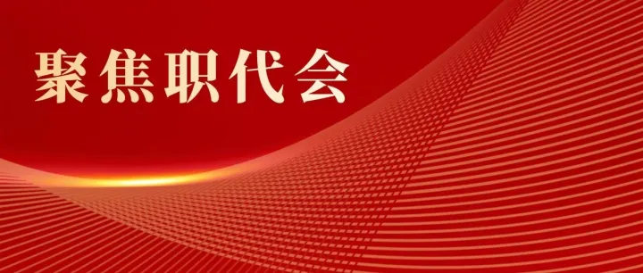 聚焦职代会丨代表话心声 聚力谋发展（二）