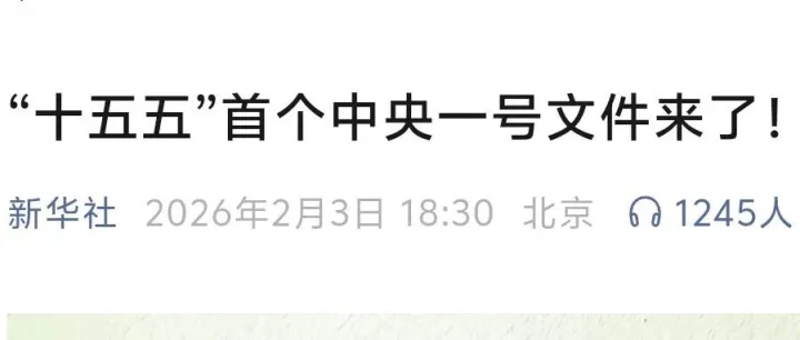 “十五五”首个中央一号文件来了！（附全文）