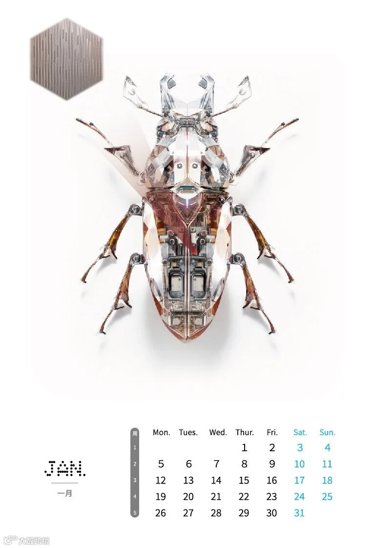 2026 microcosm calendar_纹-1.jpg