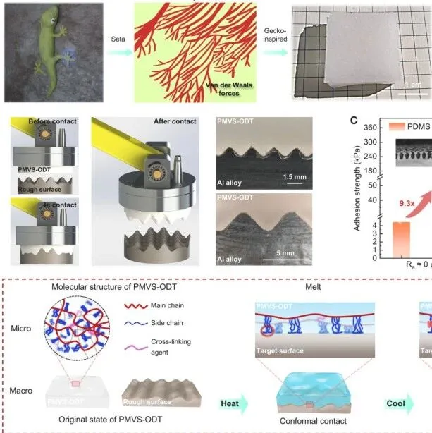 川大Matter：超强可逆粘合剂！