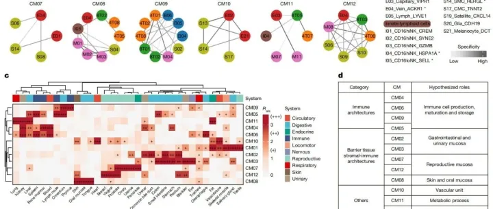 单细胞数据中：NMF在Nature杂志文献中的新用法（张泽民院士团队）